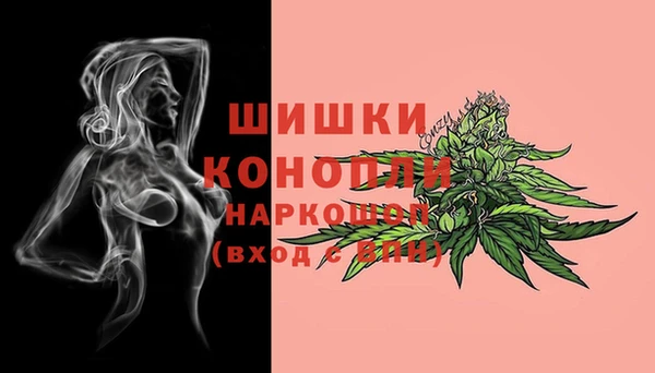 МДПВ Вяземский