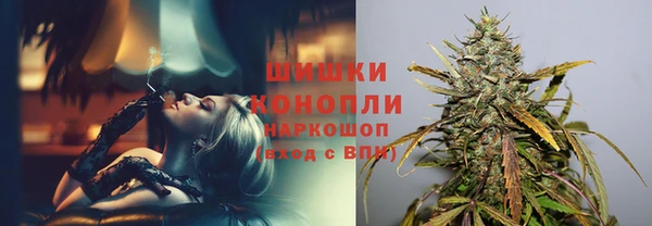 МДПВ Вяземский