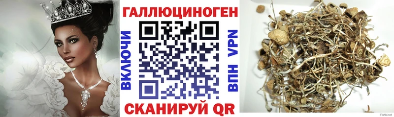 купить   Ефремов  ссылка на мегу tor  Псилоцибиновые грибы ЛСД 